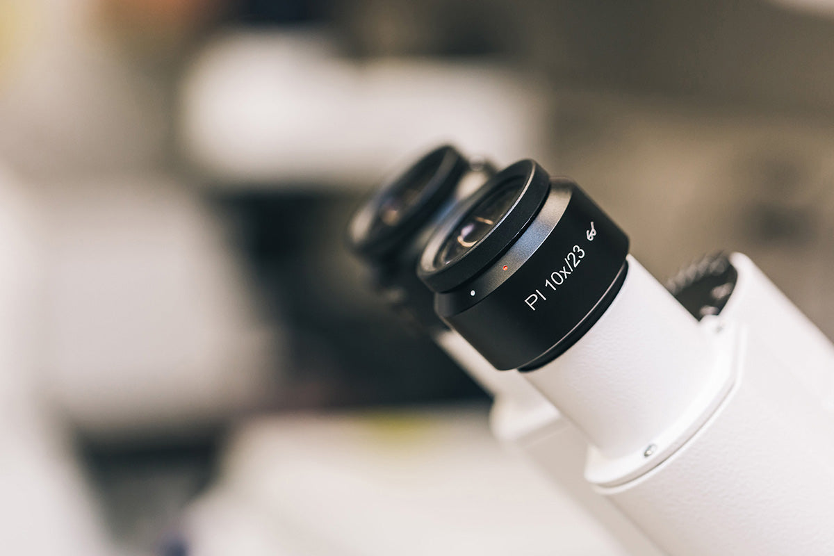 What diseases can benefit from GcMAF therapy?