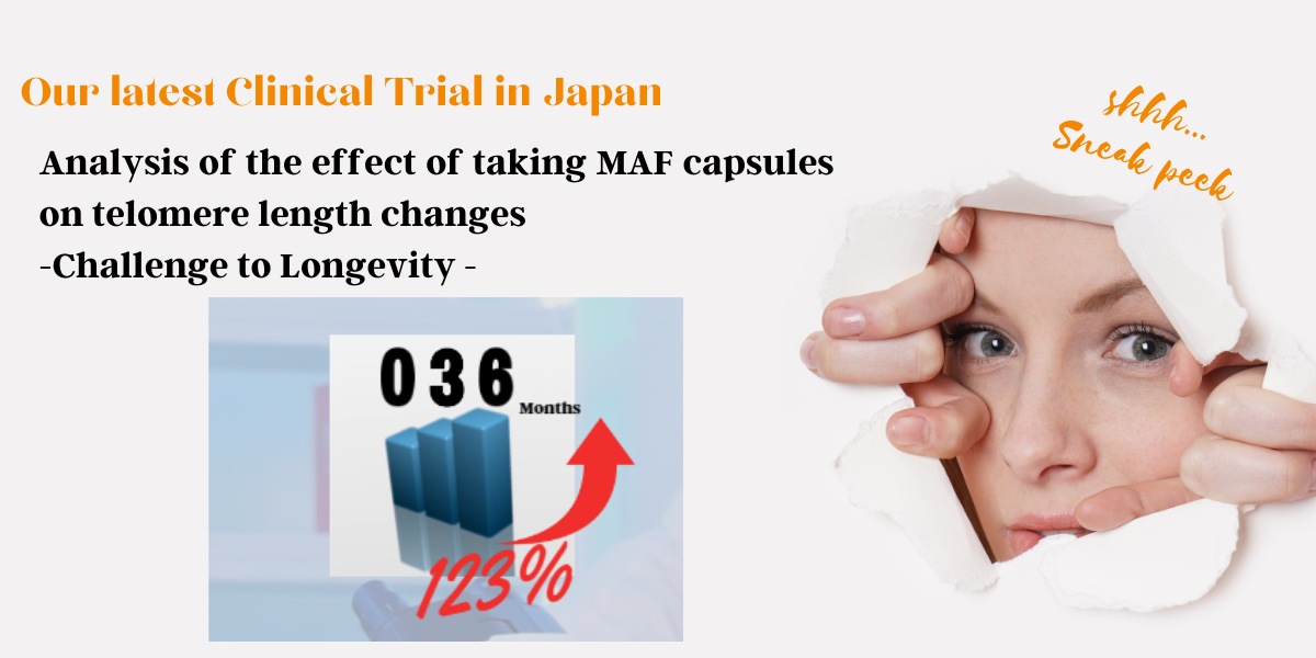 Analysis of the effect of taking MAF capsules on telomere length changes　-Challenge to Longevity -