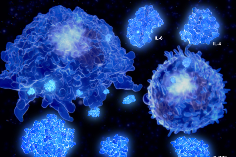Th2 cytokines-  Oral MAF