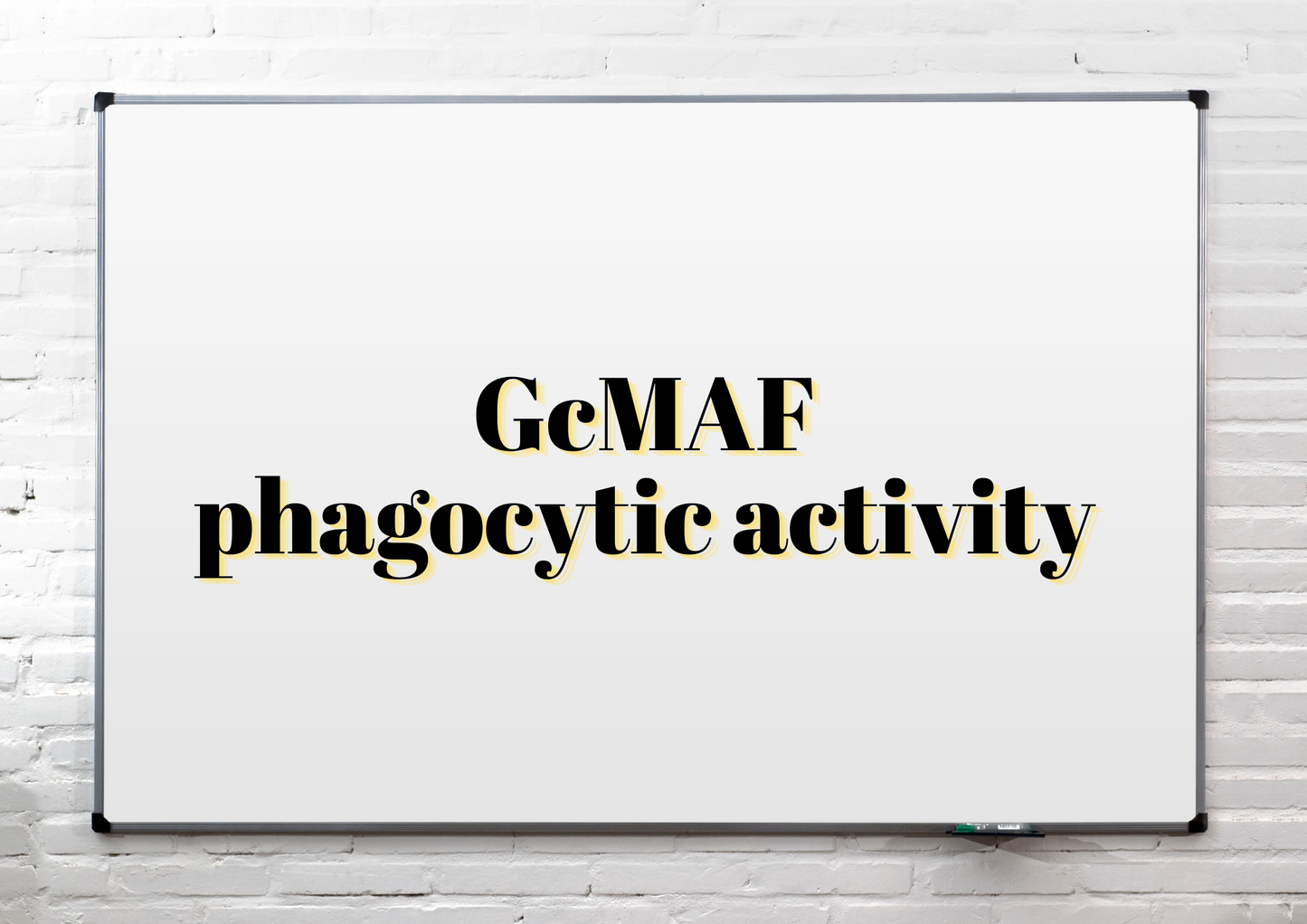 GcMAF phagocytic activity