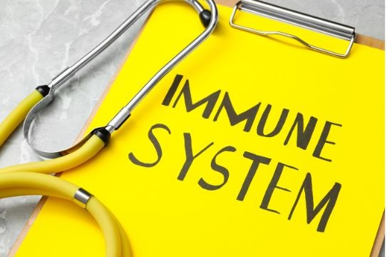 Immune Balance vs. Immune Boosting: What’s the Difference?
